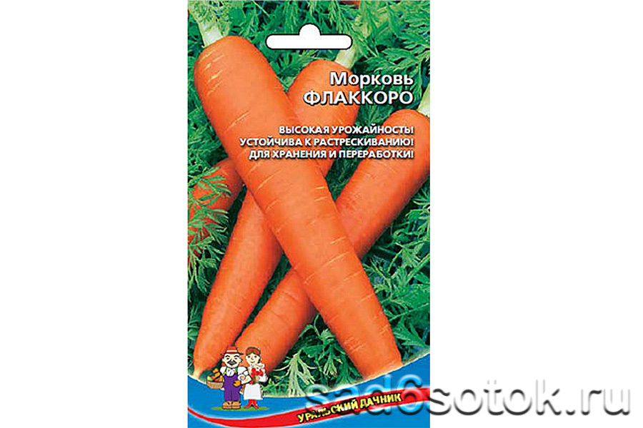 Морковь сорт Флаккоро