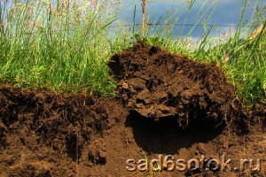 От чего устает почва