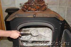 Другие удобрения (отвары, зола, торф) Другие удобрения (отвары, зола, торф)