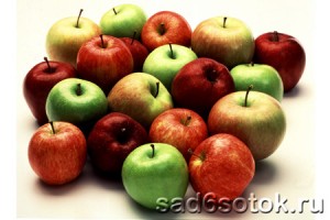 Лечебные яблоки