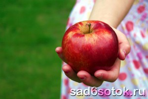 Яблоки для похудения