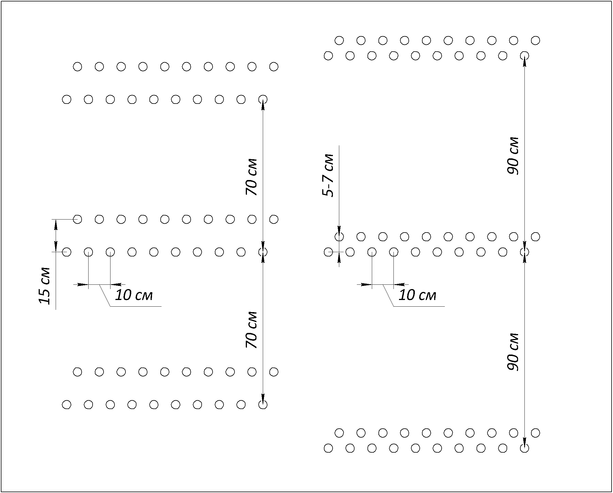 Схема двухстрочной посадки гладиолусов