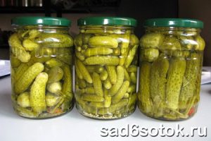 Заготовки из огурцов