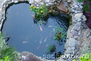 Создание водоёма своими руками