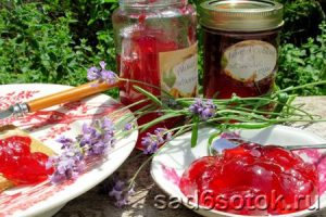 Желе из ягод, вареное и сырое